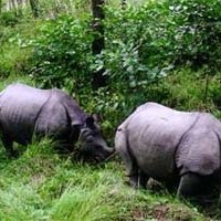 Chitwan National Park