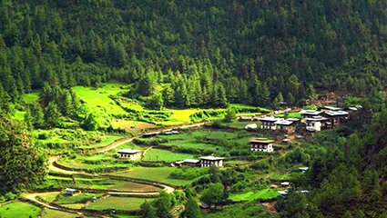 Chele la Nature Trek Bhutan