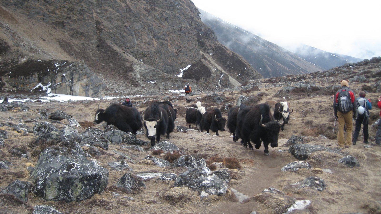 EVEREST HIGH PASS TREK4