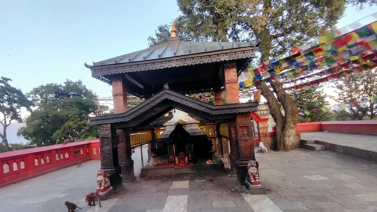 Kathmandu sightseeing Swayambhunath Monkey Temple
