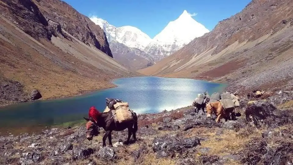 Laya Gasa Trek