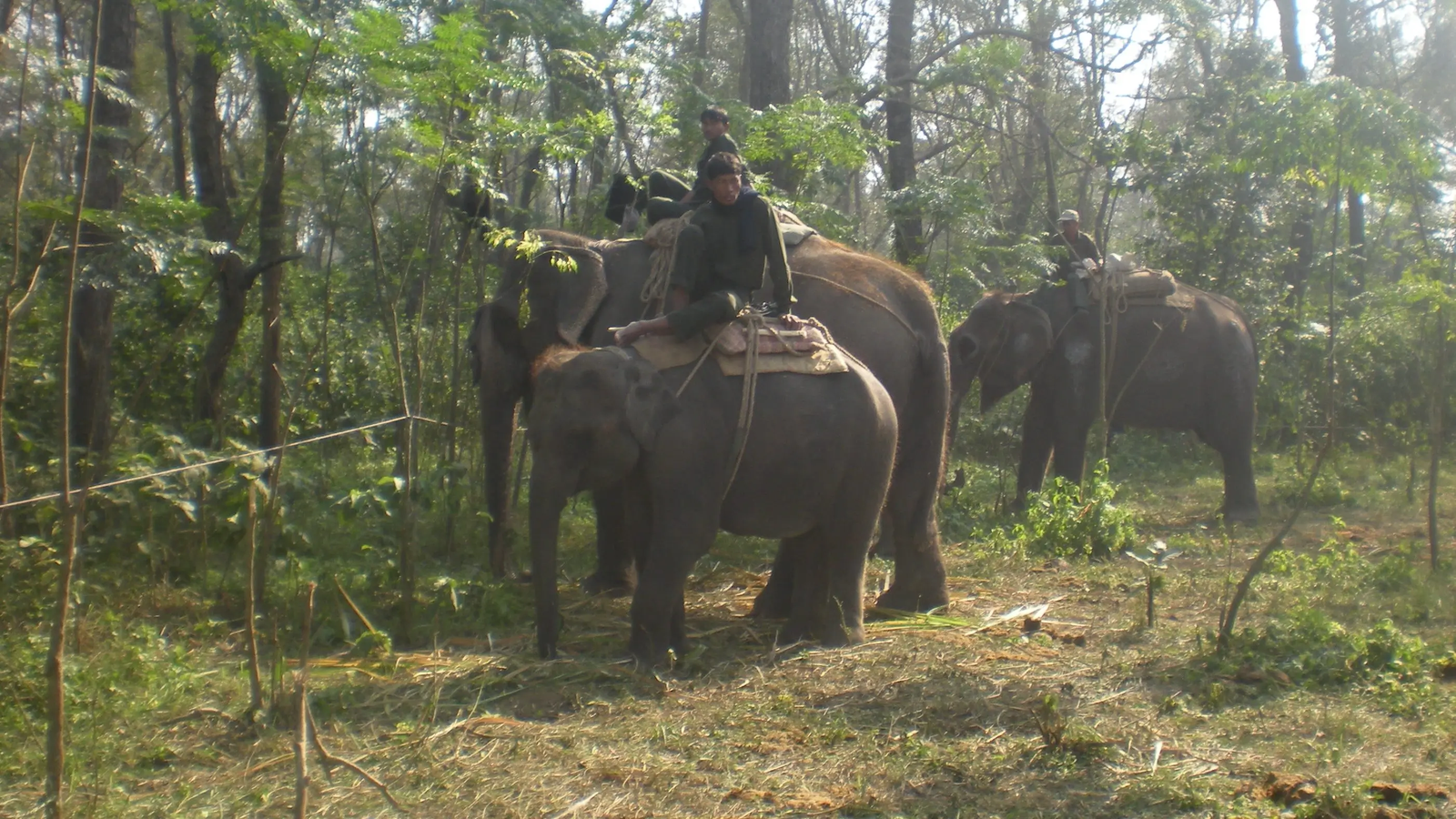 Luxury Nepal Tours