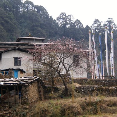 Gosaikunda Helambu Trek