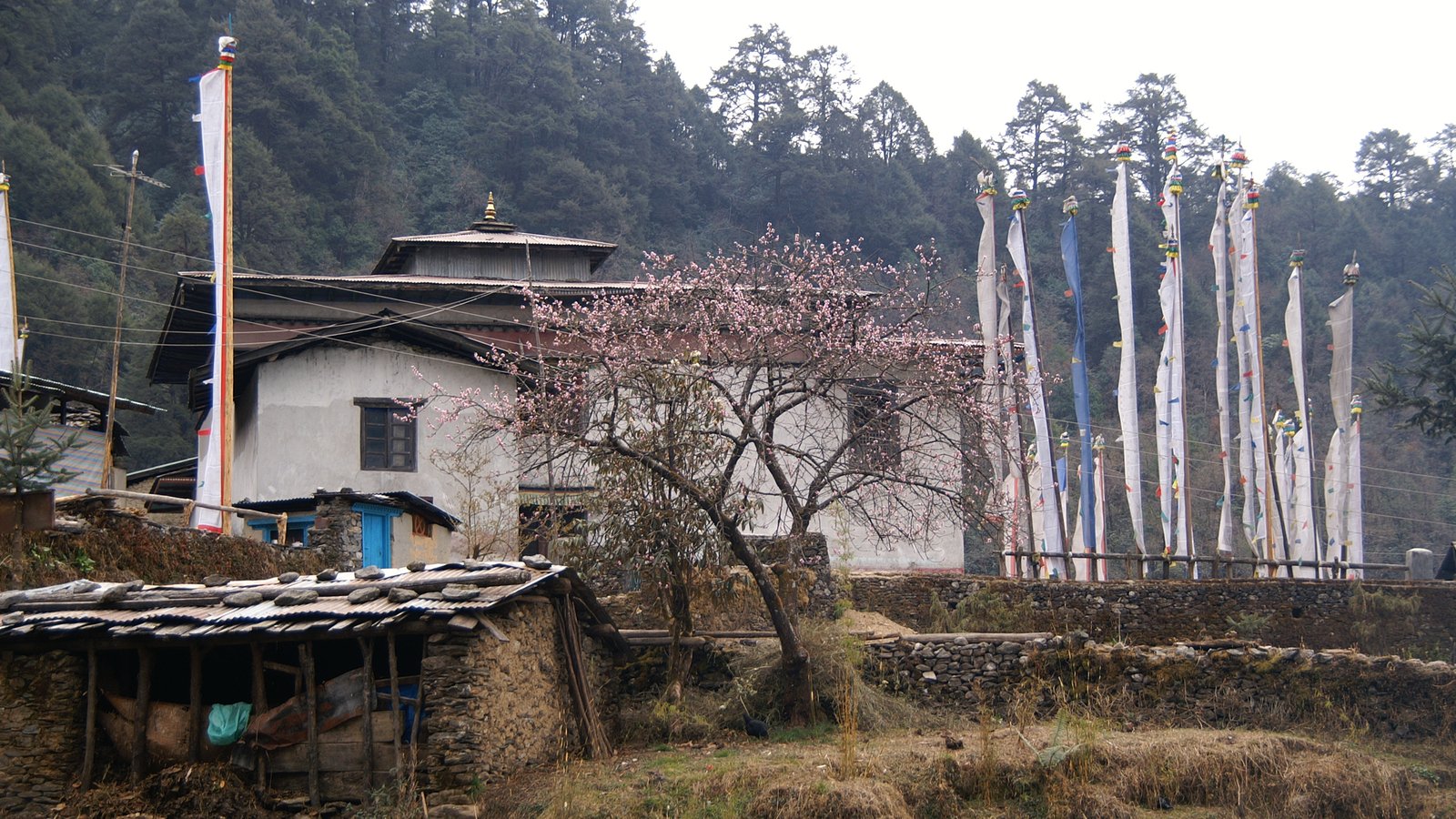 Gosainkunda Helambu Trek