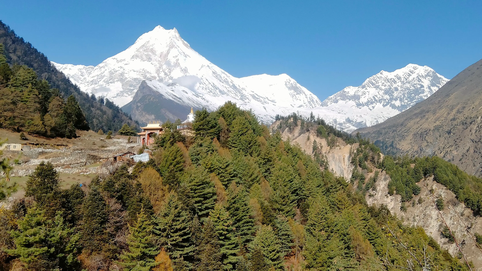 Stunning north face of Mount Manaslu from Lho village with Ribung Gompa in the foreground in the Nepal Himalayas.