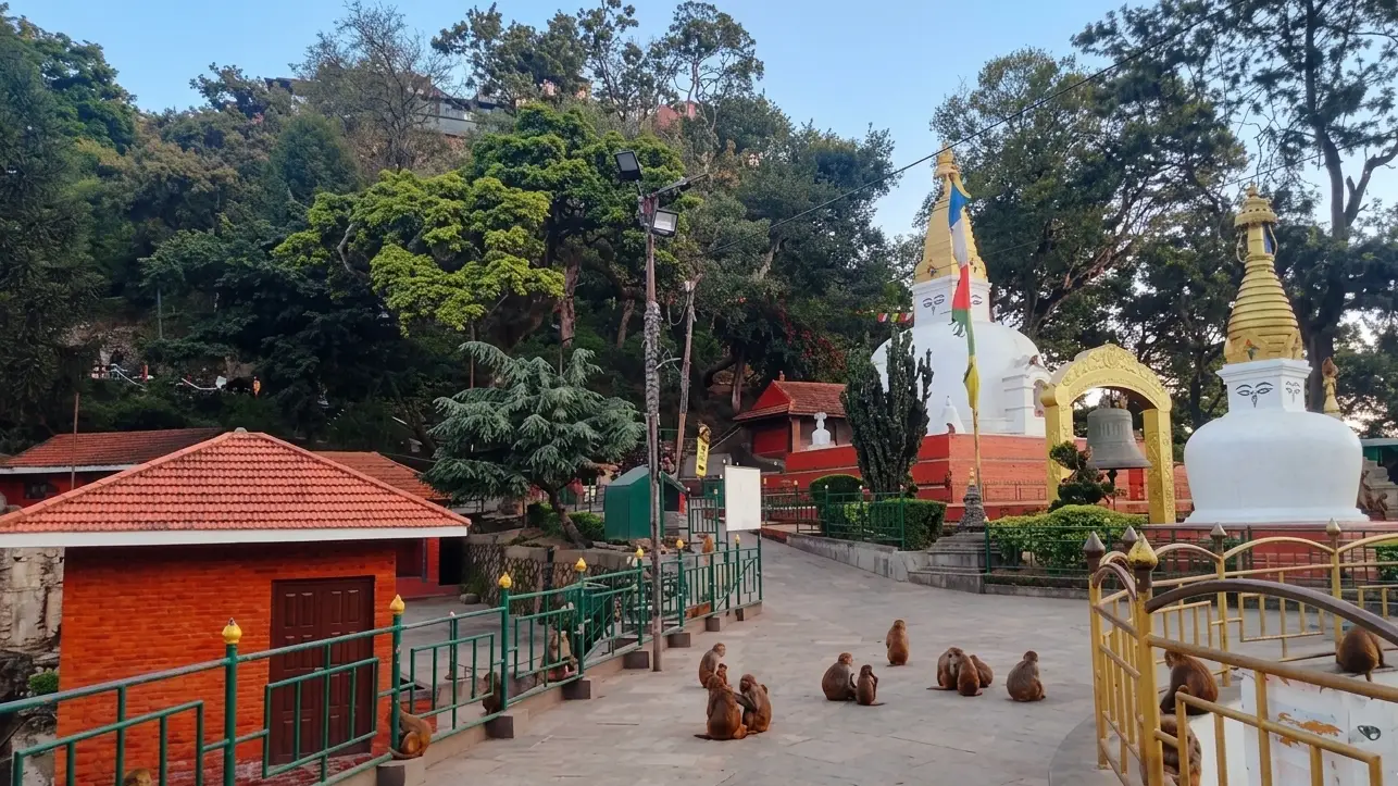 Swayambhunath Monkey Temple