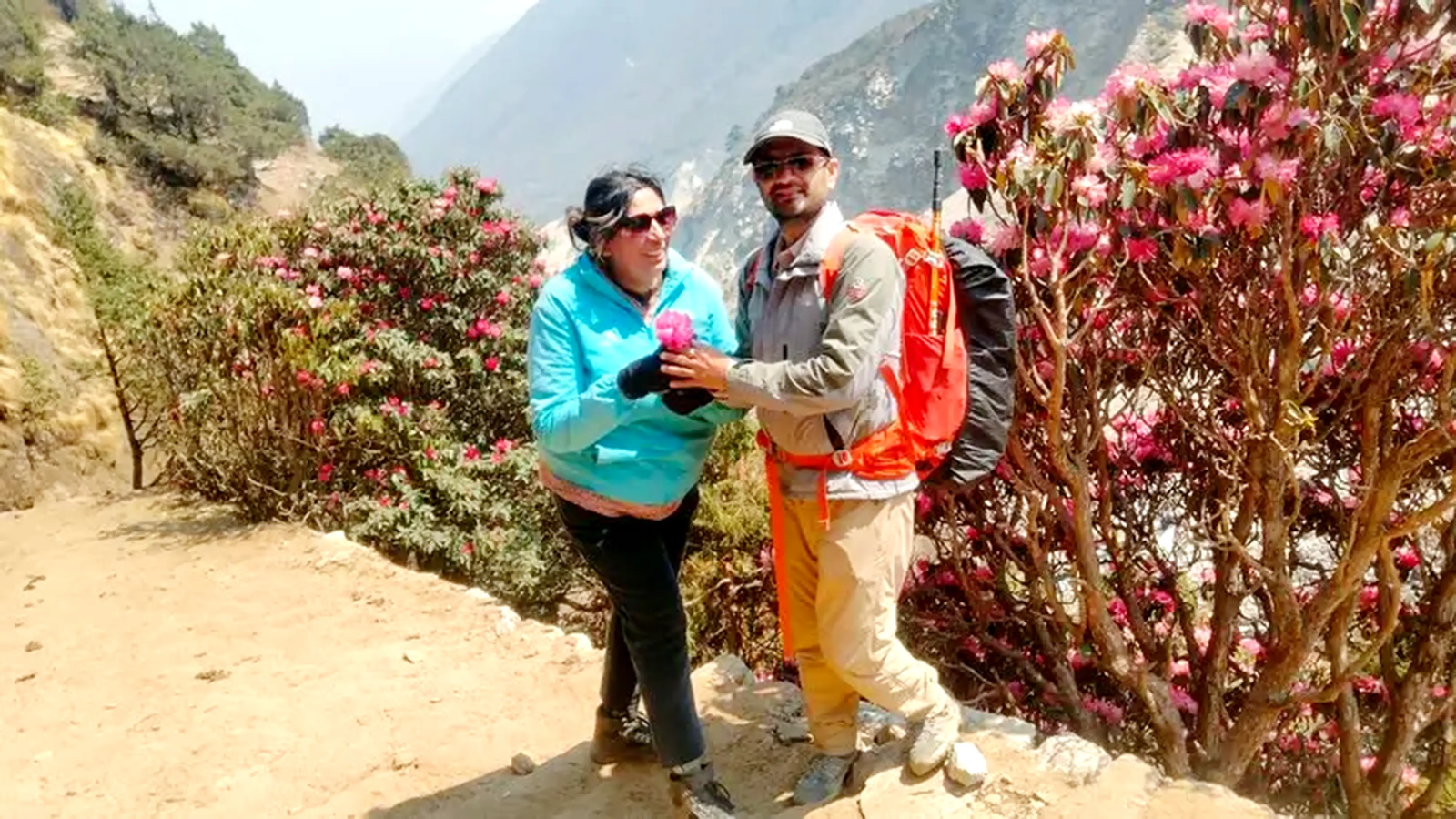 Rhododendron is the national flower of Nepal