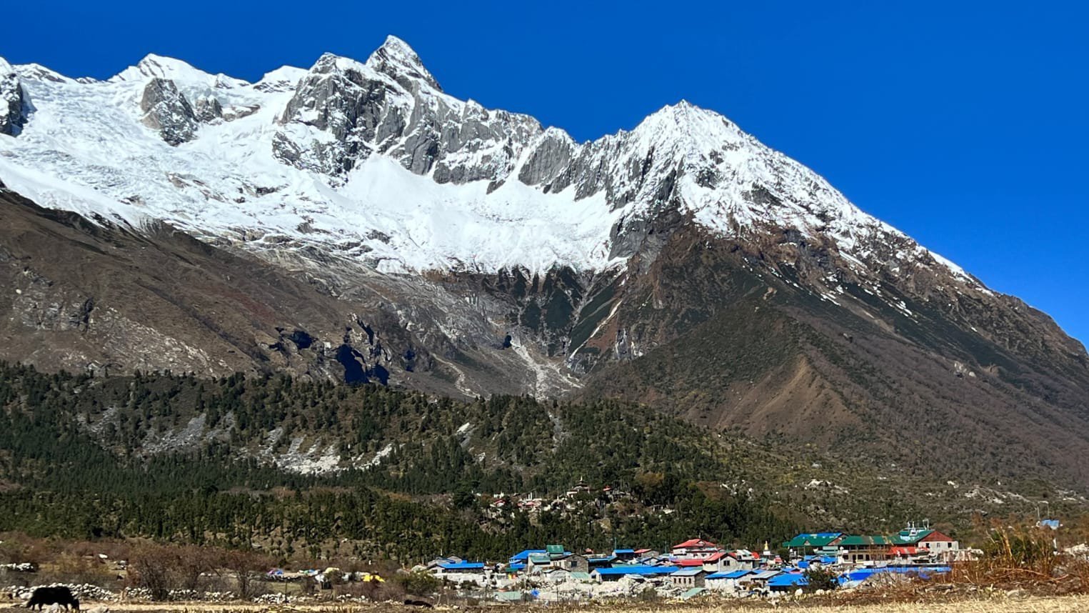 Samagaon village on the Manaslu Circuit Trek with traditional stone houses, prayer flags, and stunning Himalayan mountain backdrop in Nepal.